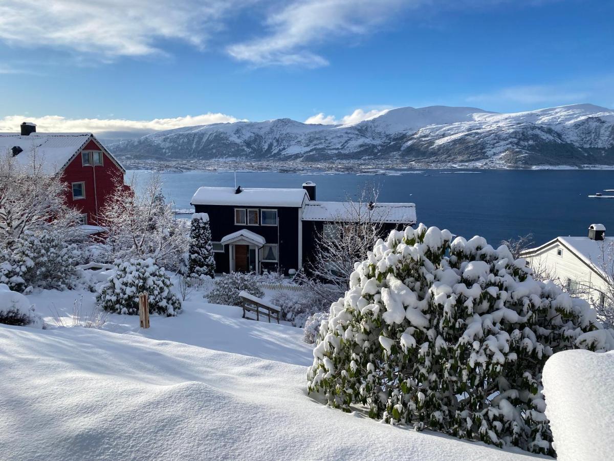 Great Place With View To The Mountains And Fjord 奥勒松 外观 照片